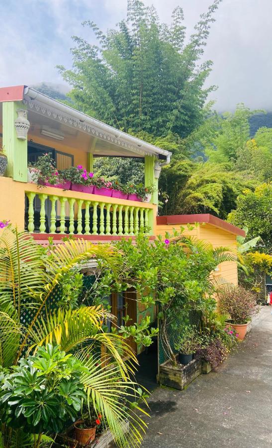 Chambres D'Hotes L'Orchidee Rose Salazie Exterior photo