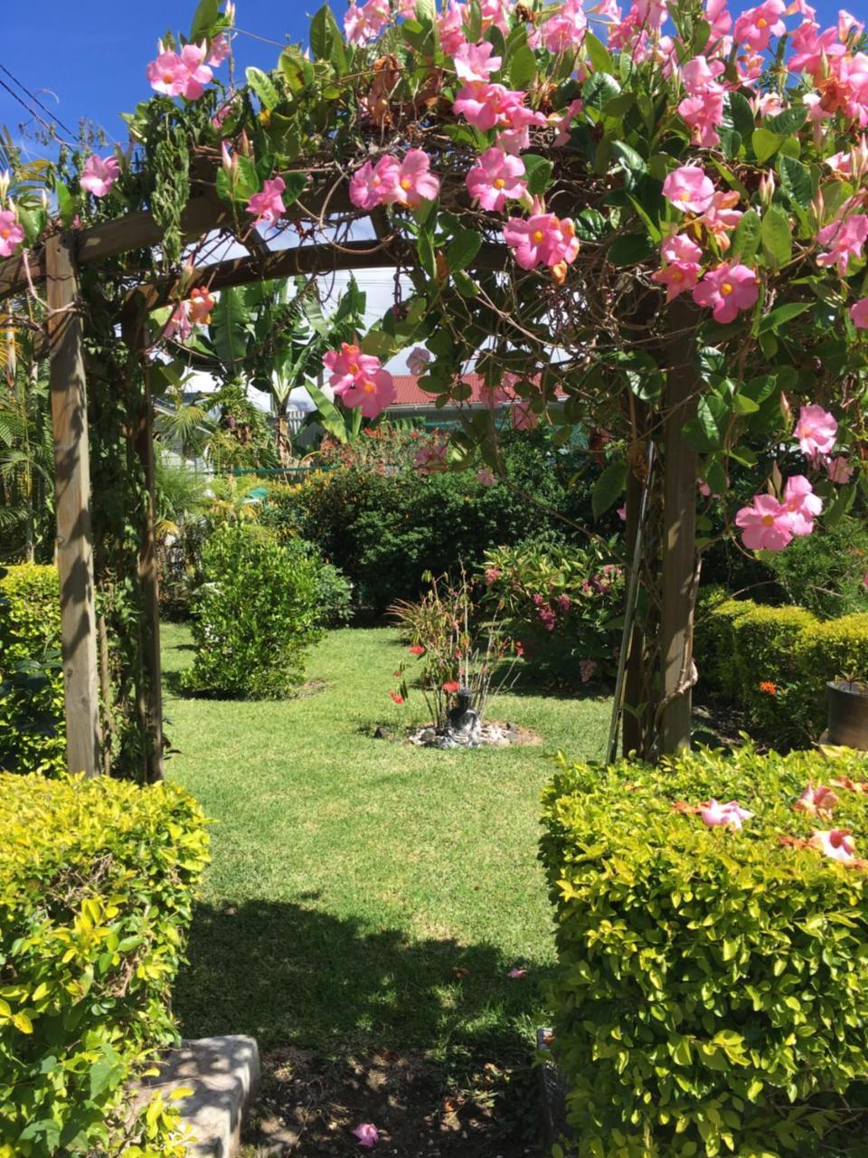 Chambres D'Hotes L'Orchidee Rose Salazie Exterior photo